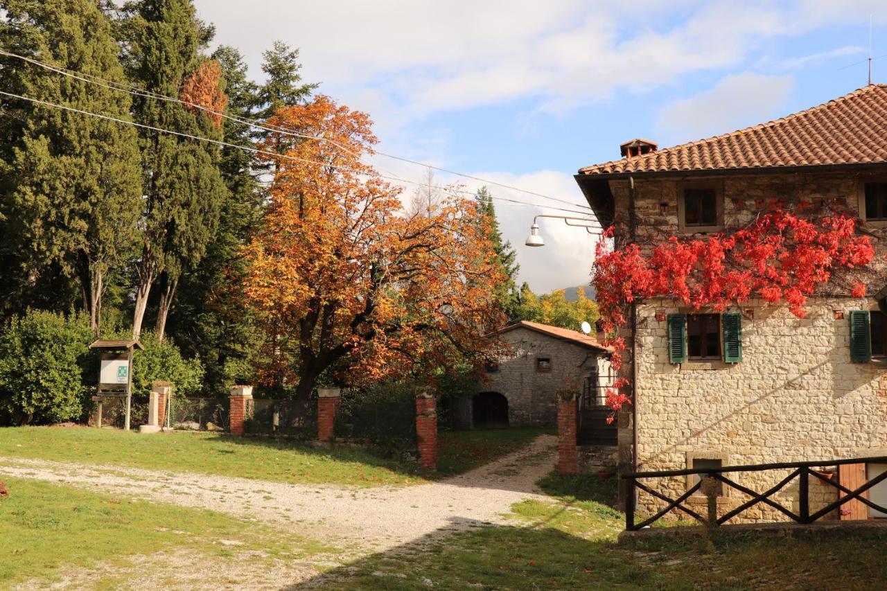 Agriturismo Villaggio Eden ปิเอเว ซานโต สเตฟาโน ภายนอก รูปภาพ