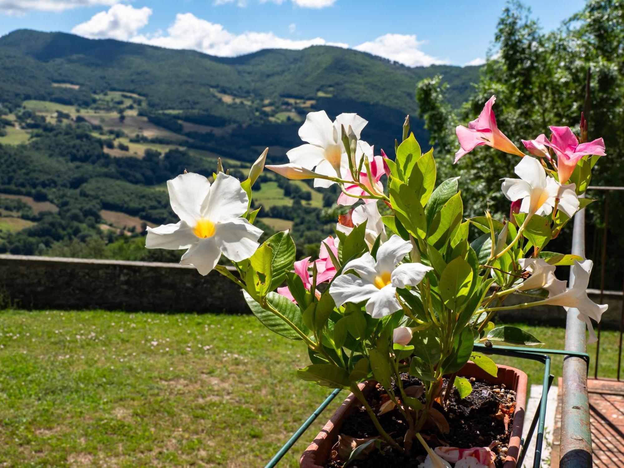 Agriturismo Villaggio Eden ปิเอเว ซานโต สเตฟาโน ภายนอก รูปภาพ